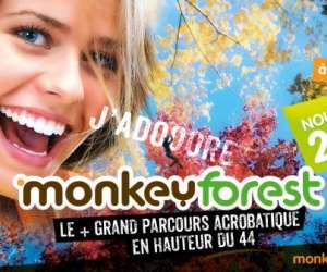 Monkeyforest Parc De Loisirs Arbres Et Aventures