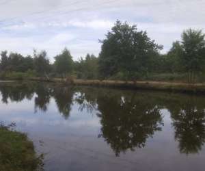 Les Etangs De L Erdre 