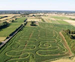 Labyrinthe En Delire