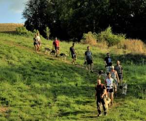 photo Sleddogride St Symphorien 8965