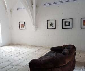 photo Chteau de montsoreau-muse d'art contemporain Montsoreau 9111