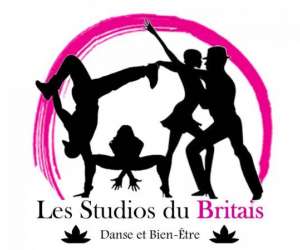 Les Studios Du Britais