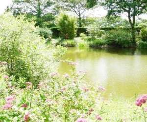 photo Camping du bois de beaumard Pontchateau 9641