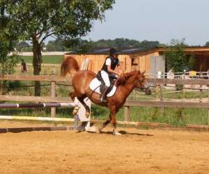 Centre Equestre De L