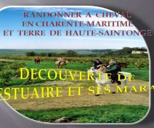 Le Haras Centre De Tourisme Equestre