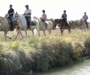 photo Le haras centre de tourisme equestre St Thomas De Conac 3304