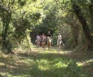 photo Le haras centre de tourisme equestre St Thomas De Conac 3305