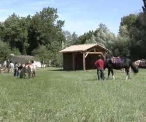 photo Le haras centre de tourisme equestre St Thomas De Conac 3306