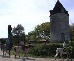 photo Le haras centre de tourisme equestre St Thomas De Conac 3309