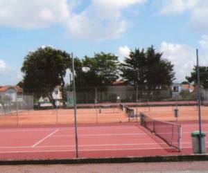 Tennis Tennis