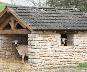 Parc  mouton village