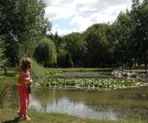 photo Parc  mouton village Vasles 2388