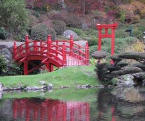 photo Ecole poitevine de shiatsu St Benoit 4767