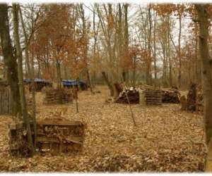 photo Xnpc 86 Poitiers 2638
