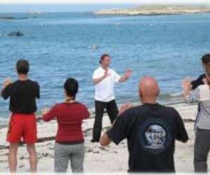 Cours Et Stages De Qi Gong