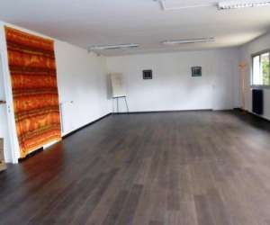 photo Cours et stages de qi gong Mignaloux Beauvoir 5557