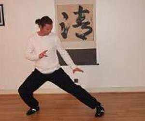 photo Cours et stages de qi gong Mignaloux Beauvoir 2780