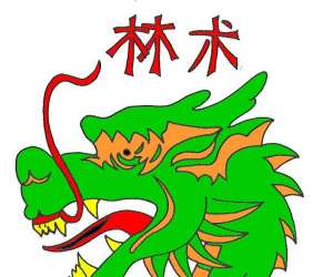 photo Shaolin wushu Royan 4269