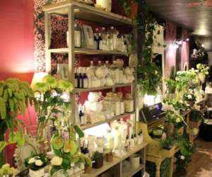 photo A fleur de pot Angouleme 5443