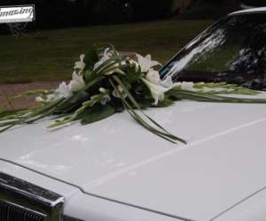 photo So amazing ! wedding planner et decorateurs de mariages Poitiers 4662
