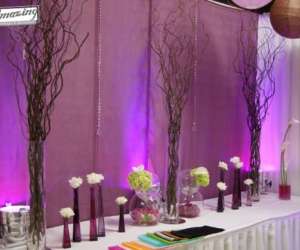photo So amazing ! wedding planner et decorateurs de mariages Poitiers 4663