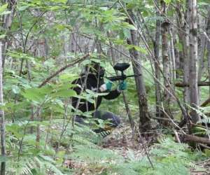 photo Paintball margnac 16 Vitrac St Vincent 3906