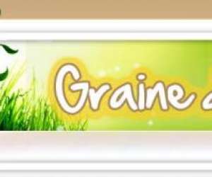 Graine D