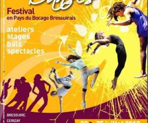 Festival Terre De Danses