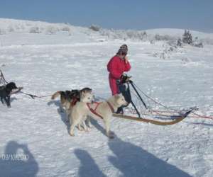 photo Mush and rando St Angeau 4550