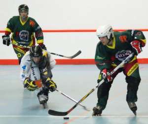 photo Roller hockey niortais Niort 3634