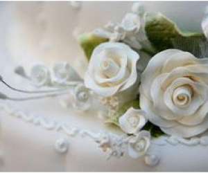 Elegance - Wedding Planner