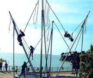 Attraction Trampoline 17 Attraction Trampoline 17
