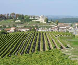 photo Cognac tasting tour Cognac 4186