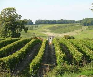 photo Cognac tasting tour Cognac 4188