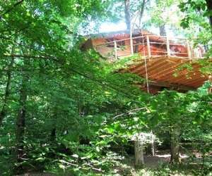 photo Sur un arbre perche Pons 4878