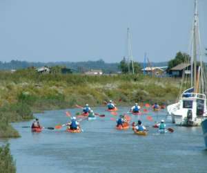 Kayak Et Nature