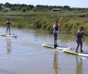photo Kayak et nature Mornac Sur Seudre 6231