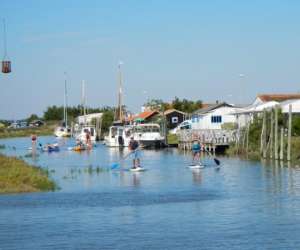 photo Kayak et nature Mornac Sur Seudre 6232