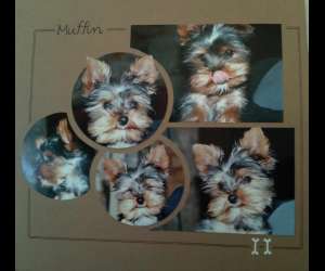 photo Ateliers de scrapbooking Rochefort 5290