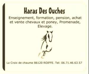 Centre Equestre De Roiffe, Le  Haras Des Ouches