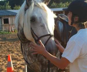 photo Centre equestre de roiffe, le  haras des ouches Roiffe 5288