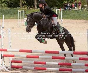 photo Centre equestre de roiffe, le  haras des ouches Roiffe 6760
