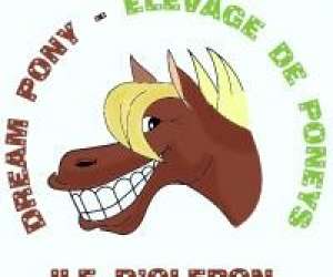 Ferme equestre dream pony