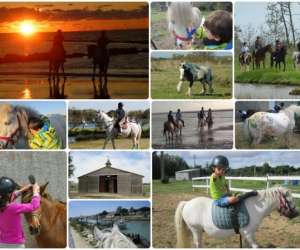 photo Ferme equestre dream pony St Georges D Oleron 6474