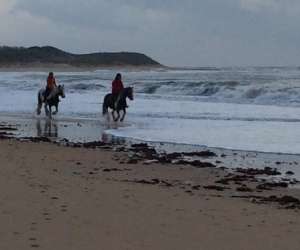 photo Ferme equestre dream pony St Georges D Oleron 6475