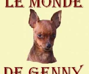 Le Monde De Genny 