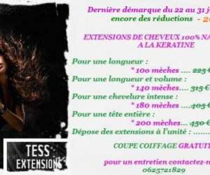 photo Tess coiffeuse a domicile - poitiers et alentours Poitiers 5847
