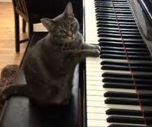 Cours De Piano