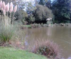 photo L'etang du plessis  - pche truite   Le Beugnon 5910