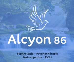 photo Alcyon 86 Poitiers 6871
